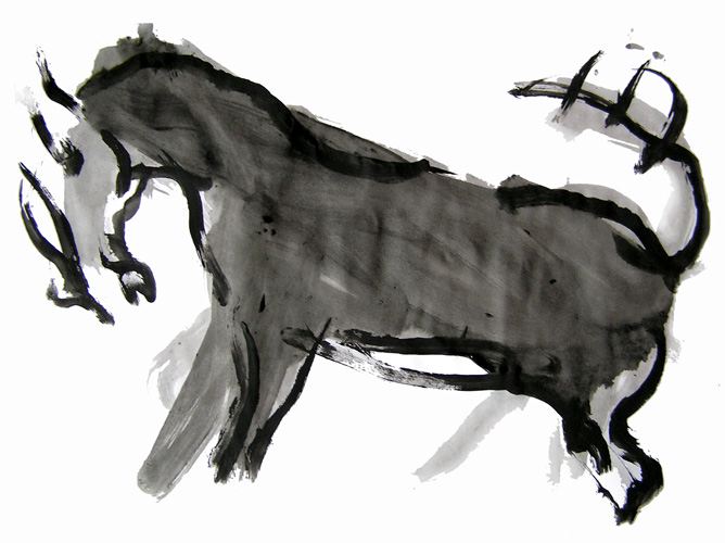 Caballo, 2005