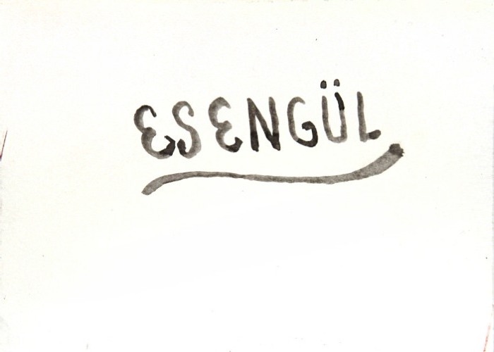 Esengül A, Book  Paco Vallejo 2013