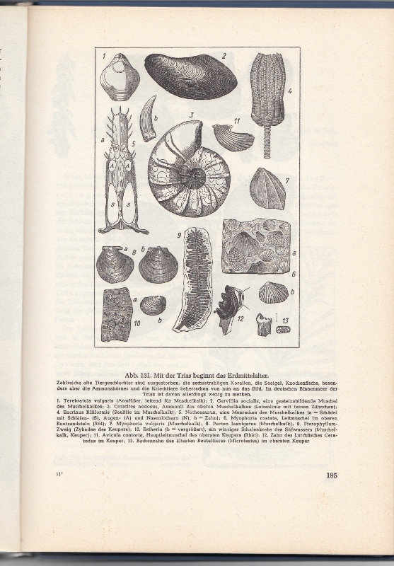 Geologie für jedermann 8, 2015 Paco Vallejo